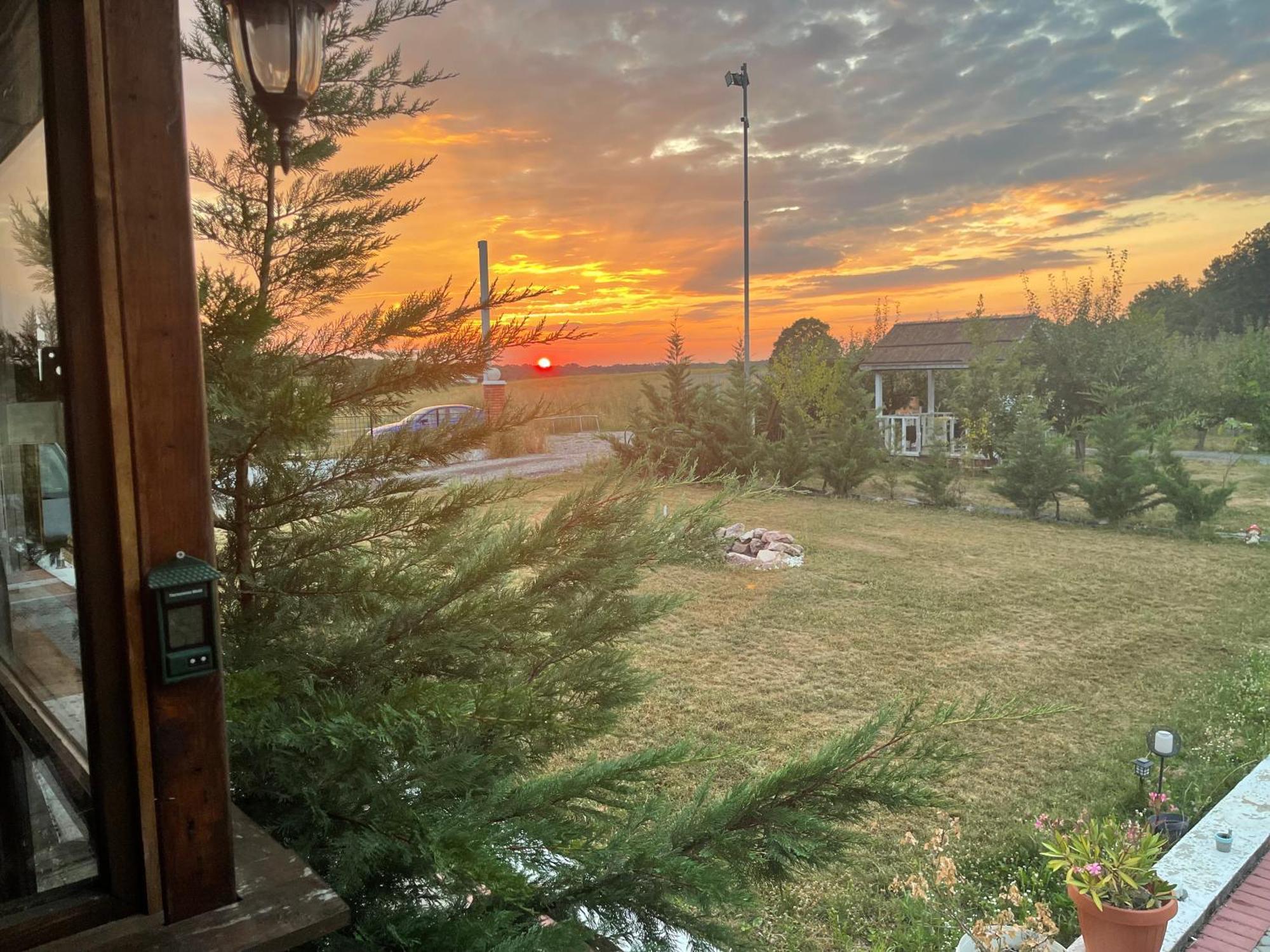 Marada Felix Hotel Hidişelul-de Sus Buitenkant foto